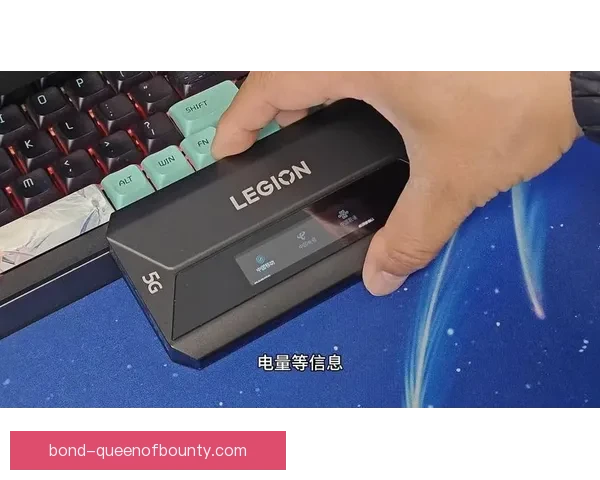 勒夫欧洲杯谢幕德国主帅生涯正式落幕新时代序幕开启